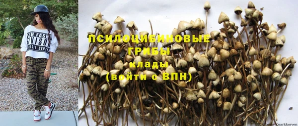 соль ск Навашино