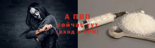 индика Наволоки