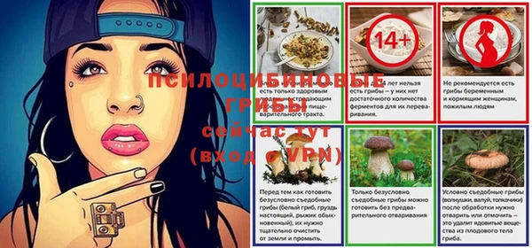 индика Наволоки